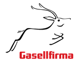 Gasellfirma 2021